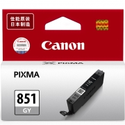 佳能（Canon） CLI-851GY  灰色墨盒 CLI-851 （适用MX928、MG6400、iP7280、iX6880)(kj)