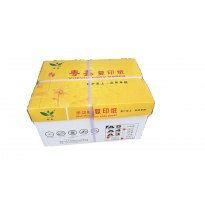 粤鑫 70g A5复印纸  500张/包 20包/箱