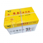 粤鑫 A4 80g 复印纸 白色 500张/包 5包/箱