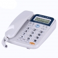 宝泰尔（BOTEL）T121电话机座机 固定电话 办公家用 免电池/双接口  灰色
