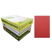 绿叶 80克大红色A3 优等品彩色复印纸 500张/包 5包/箱(单价 元/箱)厂家直销